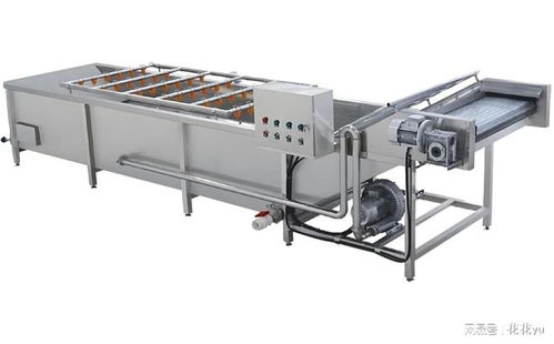 鄭州華德福食品機(jī)械 果蔬加工設(shè)備行業(yè)的標(biāo)桿與創(chuàng)新者