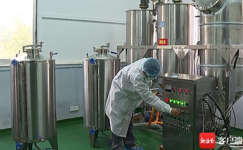 五指山油茶加工廠升級設(shè)備，榨出“致富油”助推鄉(xiāng)村振興