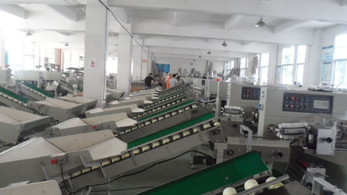 新科力冰糖橙套袋包裝機(jī) 建筑材料領(lǐng)域的精品橙子包裝解決方案