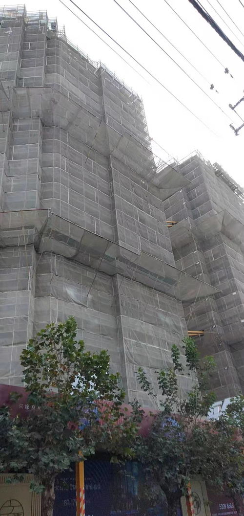 建筑建材企業商情 洞察市場脈搏，把握發展機遇